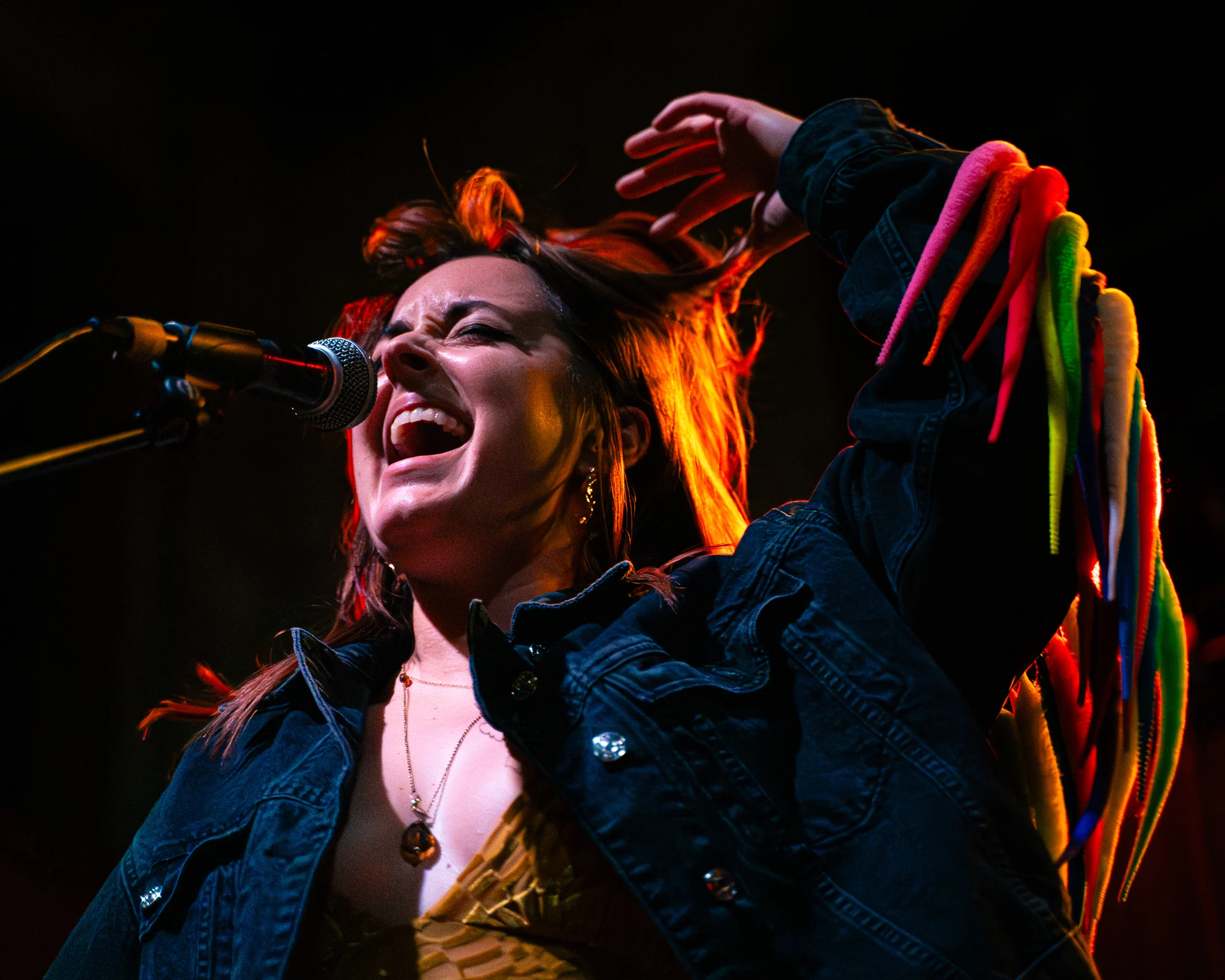 Concert photograph by Will Rhodes